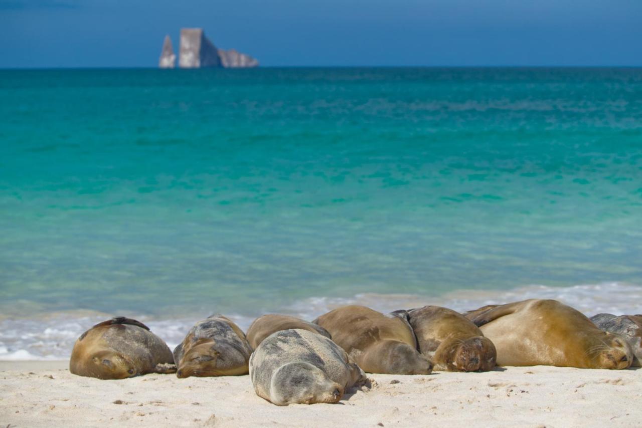 Suite Cielo, Discover The Magic Of Galapagos Puerto Baquerizo Moreno Esterno foto